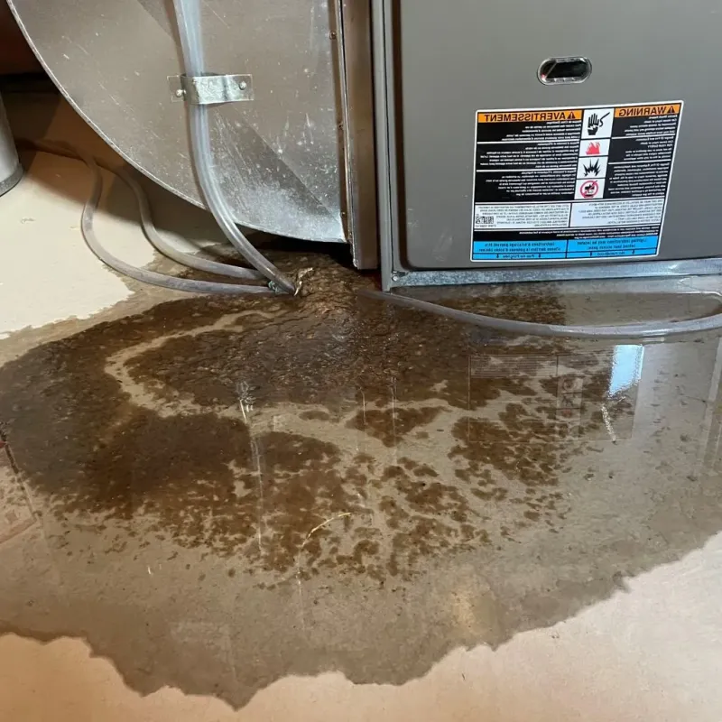Pipe Burst and Leak Restoration in Potala Pastillo, PR